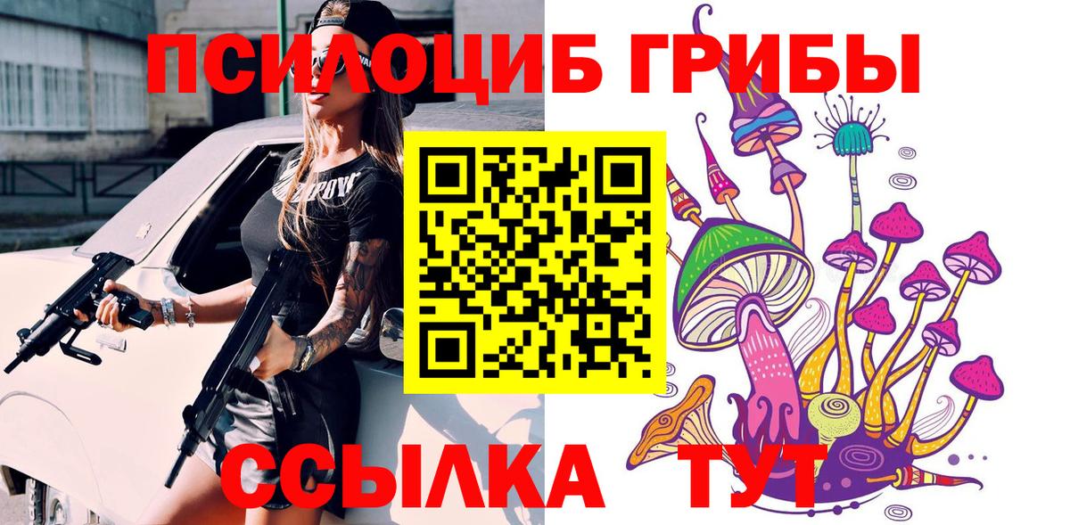 Галлюциногенные грибы Magic Shrooms  Вход с VPN  Нижнеудинск  Псилоцибиновые грибы Psilocybe 